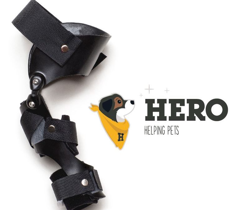 GOHERO CUSTOM STIFLE BRACES