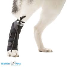 Walkin_No-Knuckling_Training_Socks