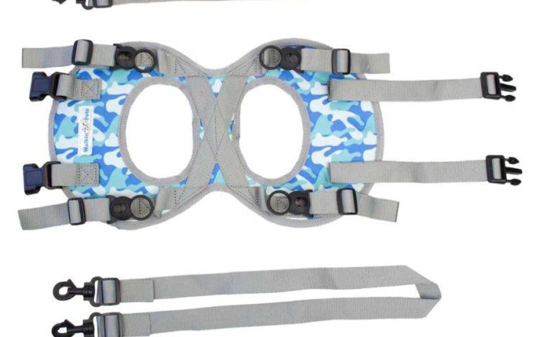 Walkin’ Pet’s Warrior Rear Harness